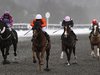 Horse racing picture from the daily mail uk
