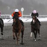 Horse racing picture from the daily mail uk Horse racing picture from the daily mail uk