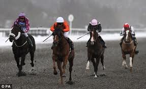 Horse racing picture from the daily mail uk