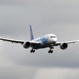 The Boeing 787 lands in Everett, Washington travelling with crew only from Fort Worth, Texas February 7, 2013. REUTERS/Kevin P. Casey