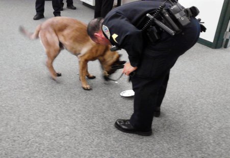 Retiring Everest Metro police dog Lord enjoys a piece of retirement cake, May 23 2013 Retiring Everest Metro police dog Lord enjoys a piece of retirement cake, May 23 2013