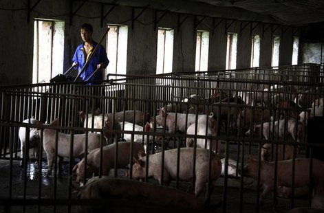 A worker pushes a wheelbarrow past pens containing pigs at a farm located on the outskirts of Beijing September 7, 2012. REUTERS/David Gray A worker pushes a wheelbarrow past pens containing pigs at a farm located on the outskirts of Beijing September 7, 2012. REUTERS/David Gray