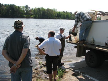 Restocking fish at McDill Pond Restocking fish at McDill Pond