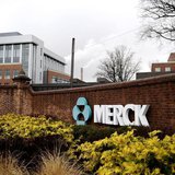 A view of the Merck & Co. campus in Linden, New Jersey March 9, 2009. REUTERS/Jeff Zelevansky
