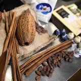 Chocolate beans and pods are displayed in New York November 17, 2012. REUTERS/Carlo Allegri