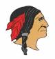 Tekonsha Indians logo