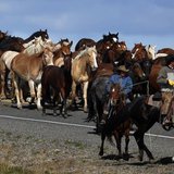 Wranglers lead a herd of wild horses during Montana Horses' annual horse drive outside Three Forks, Montana, May 6, 2012. REUTERS/Jim Urquha