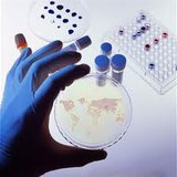 www.cdc.gov