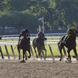 Palace Malice (R), with jockey Mike Smith in the irons, takes the lead to win the 145th running of the Belmont Stakes, the final leg of horse racing's triple crown, at Belmont Park in Elmont, New York, June 8, 2013. 
REUTERS/Chip East