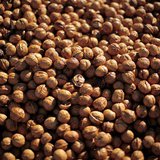 Walnuts sit in a trailer after being harvested in Lompoc, California October 1, 2011. Picture taken October 1, 2011. REUTERS/Lucy Nicholson