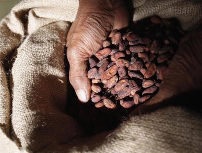A worker at Dole Food Company scoops up cacao beans at the company's Waialua coffee and cocoa farm on the North Shore of Oahu, in Hawaii Nov A worker at Dole Food Company scoops up cacao beans at the company's Waialua coffee and cocoa farm on the North Shore of Oahu, in Hawaii Nov