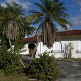 Overgrown trees and shrubs line the driveway to a foreclosed home in Cape Coral, Florida, December 15, 2012. REUTERS/Steve Nesius