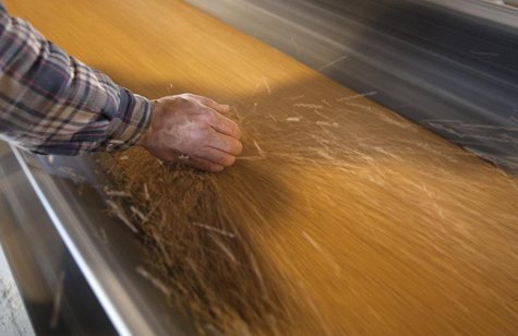 Dan Lizee, operation manager, picks up a handful of wheat off the conveyor belts that transfer wheat from trains to cargo ships at the Allia Dan Lizee, operation manager, picks up a handful of wheat off the conveyor belts that transfer wheat from trains to cargo ships at the Allia