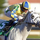 Jockey Ramon Dominguez aboard Hansen races to win first place in the Juvenile race during the 2011 Breeders' Cup World Championship horse ra