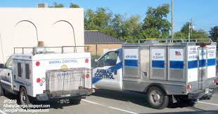 Animal Control vehicles. Photo: Blogspot.com
Animal Control vehicles. Photo: Blogspot.com