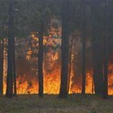 COLORADO SPRINGS, Colo. - A fierce, wind-whipped wildfire destroyed more than 90 homes and menaced additional communities in and around Colorado's second-largest city on Wednesday, forcing thousands of residents to flee.  (Reuters)