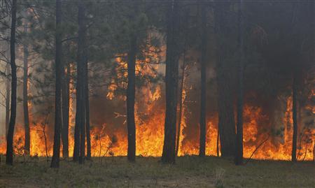 COLORADO SPRINGS, Colo. - A fierce, wind-whipped wildfire destroyed more than 90 homes and menaced additional communities in and around Colorado's second-largest city on Wednesday, forcing thousands of residents to flee. (Reuters) COLORADO SPRINGS, Colo. - A fierce, wind-whipped wildfire destroyed more than 90 homes and menaced additional communities in and around Colorado's second-largest city on Wednesday, forcing thousands of residents to flee. (Reuters)