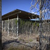 Weeds and flowers grow near the fence at Camp X-Ray, a prison formerly used to house detainees at the U.S. Naval Base at Guantanamo Bay, Mar