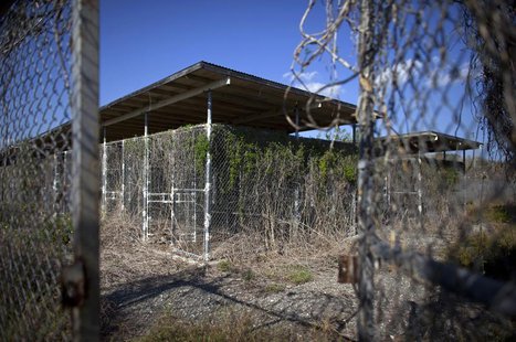 Weeds and flowers grow near the fence at Camp X-Ray, a prison formerly used to house detainees at the U.S. Naval Base at Guantanamo Bay, Mar Weeds and flowers grow near the fence at Camp X-Ray, a prison formerly used to house detainees at the U.S. Naval Base at Guantanamo Bay, Mar