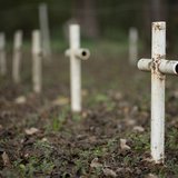White metal crosses mark graves at the cemetery of the former Arthur G. Dozier School for Boys in Marianna, Florida, December 10, 2012. REUT