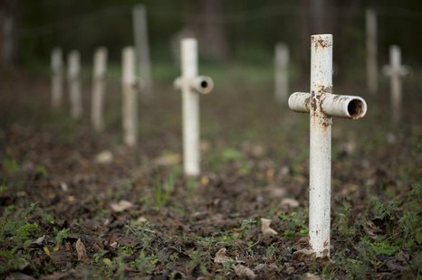 White metal crosses mark graves at the cemetery of the former Arthur G. Dozier School for Boys in Marianna, Florida, December 10, 2012. REUT White metal crosses mark graves at the cemetery of the former Arthur G. Dozier School for Boys in Marianna, Florida, December 10, 2012. REUT