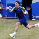Britain's Andy Murray hits a return to France's Jo-Wilfried Tsonga during their men's singles semi-final tennis match at the Queen's Club Ch Britain's Andy Murray hits a return to France's Jo-Wilfried Tsonga during their men's singles semi-final tennis match at the Queen's Club Ch