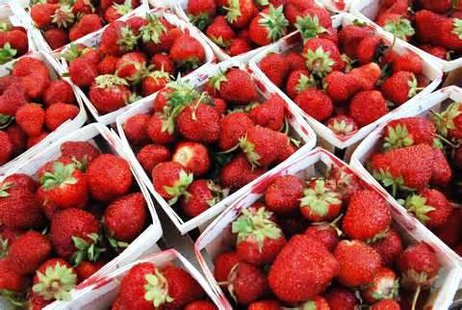 A pallet of strawberries from Tucker Fruit Market. A pallet of strawberries from Tucker Fruit Market.