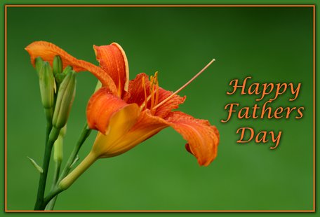 Father's Day (courtesy of Flickr). Father's Day (courtesy of Flickr).