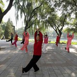 People practise tai chi, a Chinese martial art, during morning exercises at Longtan Park in Beijing in this September 13, 2010 file photo. R People practise tai chi, a Chinese martial art, during morning exercises at Longtan Park in Beijing in this September 13, 2010 file photo. R