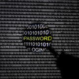 A magnifying glass is held in front of a computer screen in this picture illustration taken in Berlin May 21, 2013. REUTERS/Pawel Kopczynski