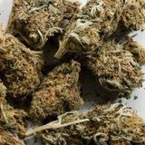 Marijuana Marijuana