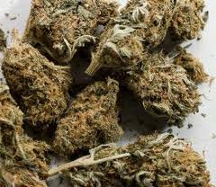 Marijuana Marijuana