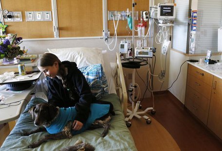 Lily Sroboda, 11, a patient at Childrens Hospital Colorado, gets a visit from Brownie, a therapy dog missing a foot in Aurora April 14, 2013 Lily Sroboda, 11, a patient at Childrens Hospital Colorado, gets a visit from Brownie, a therapy dog missing a foot in Aurora April 14, 2013