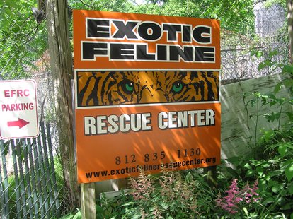 Exotic Feline Rescue Center Exotic Feline Rescue Center