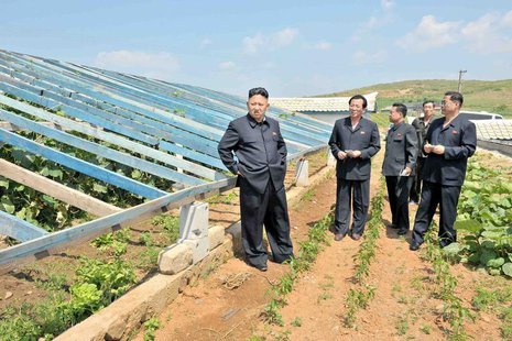 North Korean leader Kim Jong-un (L) visits vegetable greenhouses at the Songhak Co-op Farm in Anju City, South Pyongan Province, in this und North Korean leader Kim Jong-un (L) visits vegetable greenhouses at the Songhak Co-op Farm in Anju City, South Pyongan Province, in this und