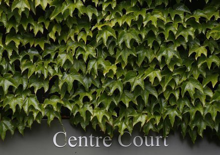 Ivy grows above a Centre Court sign on the first day of the Wimbledon Tennis Championships, in London June 24, 2013. REUTERS/Eddie Keogh Ivy grows above a Centre Court sign on the first day of the Wimbledon Tennis Championships, in London June 24, 2013. REUTERS/Eddie Keogh