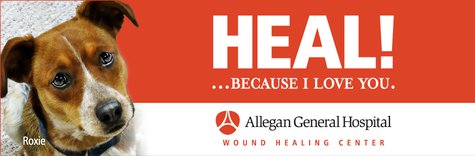 Allegan General Hospital logo Allegan General Hospital logo