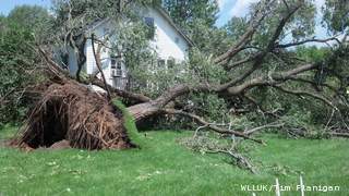 A downed tree in the town of Little River in Oconto County, where the Green Bay National Weather Service says a tornado touched down Tuesday night. (courtesy of FOX 11). A downed tree in the town of Little River in Oconto County, where the Green Bay National Weather Service says a tornado touched down Tuesday night. (courtesy of FOX 11).
