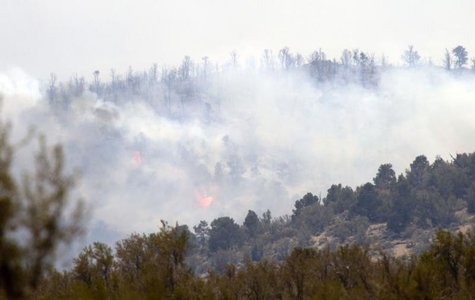 The Carpenter 1 wildfire burns in Kyle Canyon on Mount Charleston, about 25 miles (40 km) northwest of Las Vegas, Nevada, July 9, 2013. REUT The Carpenter 1 wildfire burns in Kyle Canyon on Mount Charleston, about 25 miles (40 km) northwest of Las Vegas, Nevada, July 9, 2013. REUT