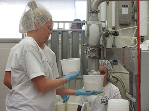 SDSU dairy science students package the finished ice cream product. The SDSU Dairy Science program incorporates the entire spectrum of the dairy industry, from production to manufacturing. (SDSU.edu) SDSU dairy science students package the finished ice cream product. The SDSU Dairy Science program incorporates the entire spectrum of the dairy industry, from production to manufacturing. (SDSU.edu)