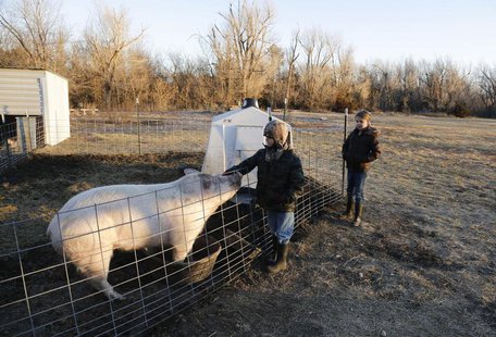 Third grade students Cody Eye and Elizabeth Harder feed the hogs at the Walton Rural Life Center Elementary School, in Walton, Kansas, Janua Third grade students Cody Eye and Elizabeth Harder feed the hogs at the Walton Rural Life Center Elementary School, in Walton, Kansas, Janua