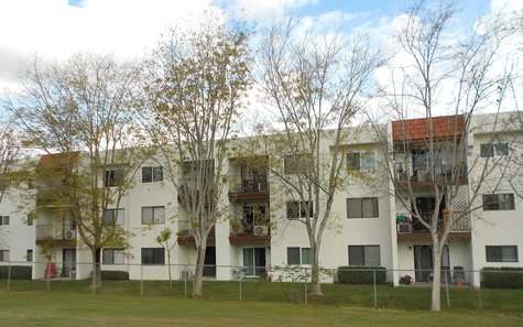 A federal appeals court on Monday rejected a Dallas suburb's controversial law that would have prevented illegal immigrants from renting housing.
(Citysafari) A federal appeals court on Monday rejected a Dallas suburb's controversial law that would have prevented illegal immigrants from renting housing.
(Citysafari)