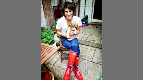 Image courtesy of Image Courtesy Ronnie Wood via Twitter (via ABC News Radio) Image courtesy of Image Courtesy Ronnie Wood via Twitter (via ABC News Radio)