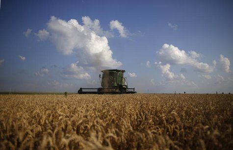 A combine drives through a field of soft red winter wheat during the harvest on a farm in Dixon, Illinois, July 16, 2013. REUTERS/Jim Young A combine drives through a field of soft red winter wheat during the harvest on a farm in Dixon, Illinois, July 16, 2013. REUTERS/Jim Young