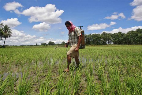 A farmer sprays pesticide containing monocrotophos on a paddy field at Mohanpur village, about 45 km (28 miles) west of Agartala, capital of A farmer sprays pesticide containing monocrotophos on a paddy field at Mohanpur village, about 45 km (28 miles) west of Agartala, capital of