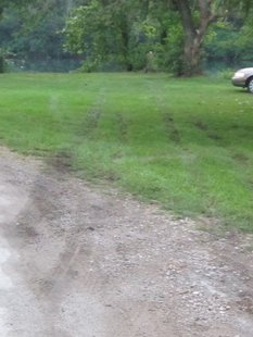 07-27 Accident In Southern Vigo County / provided by Vigo County Sheriff / pic 3 07-27 Accident In Southern Vigo County / provided by Vigo County Sheriff / pic 3