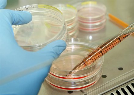 A researcher works in his laboratory at the Institute for Stem cell Therapy and Exploration of Monogenic Diseases (I-Stem) in Evry, near Par A researcher works in his laboratory at the Institute for Stem cell Therapy and Exploration of Monogenic Diseases (I-Stem) in Evry, near Par
