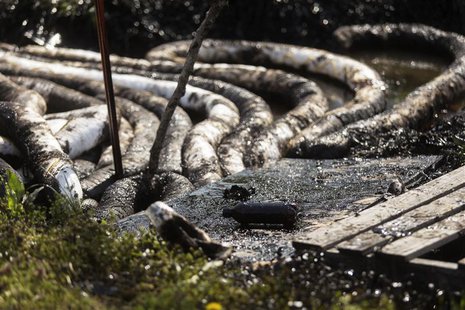 Spilled crude oil is seen in a drainage ditch near Starlite Road in Mayflower, Arkansas March 31, 2013. An Exxon Mobil pipeline carrying Can Spilled crude oil is seen in a drainage ditch near Starlite Road in Mayflower, Arkansas March 31, 2013. An Exxon Mobil pipeline carrying Can