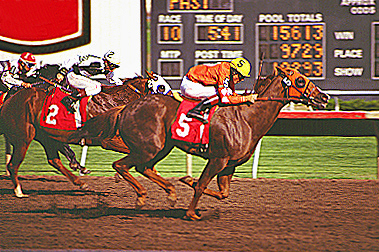 Canterbury Park Canterbury Park