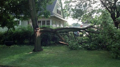 Tree down in a yard in Kaukauna after storms rolled through on August 7, 2013. (Photo by: Jeff Flynt). Tree down in a yard in Kaukauna after storms rolled through on August 7, 2013. (Photo by: Jeff Flynt).